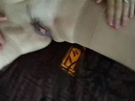 ბლონდა და სერჟი