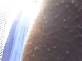 კარლი და ზინკა